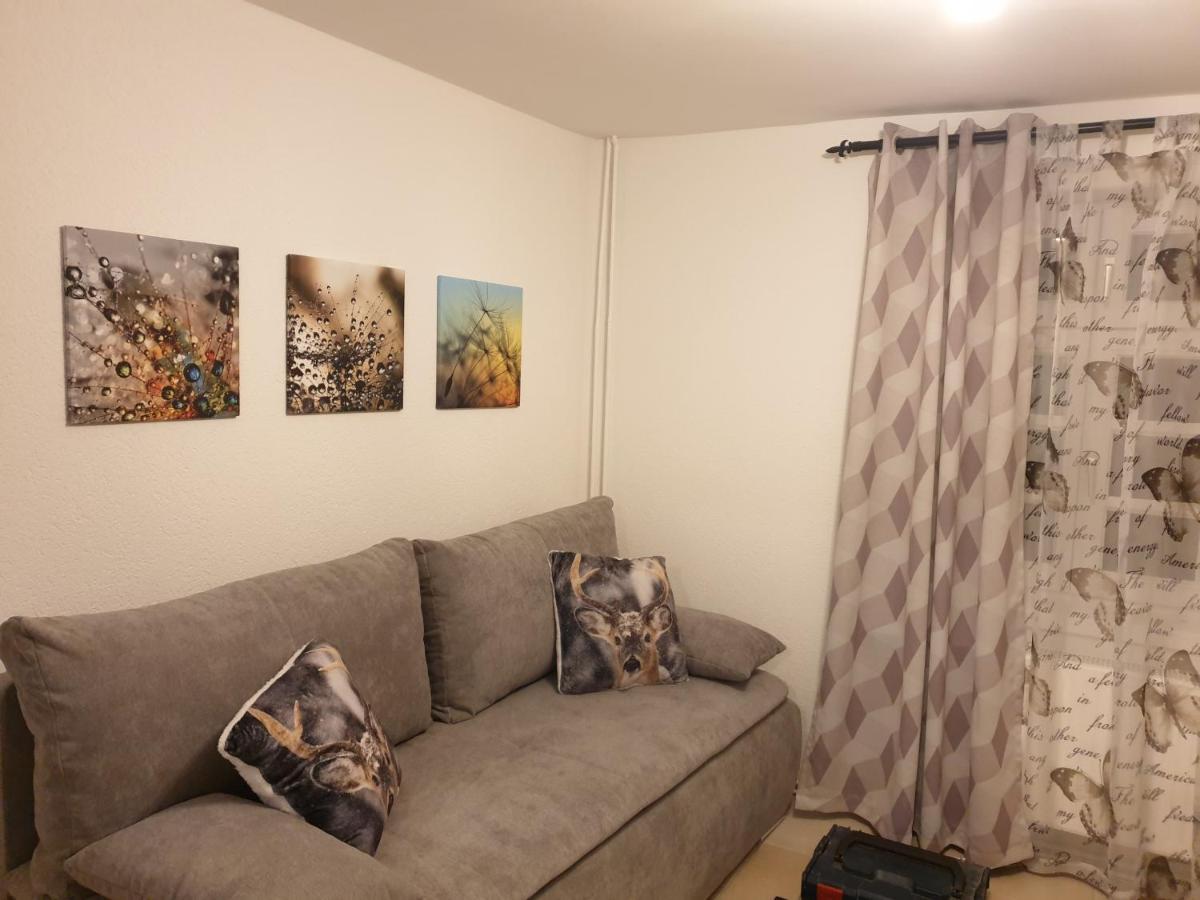 Neu Gemuetliche Ferienhaus Mit 3 Ferienwohnungen "Max " , " Leonore " Und "Beatrice" Hallenberg Esterno foto
