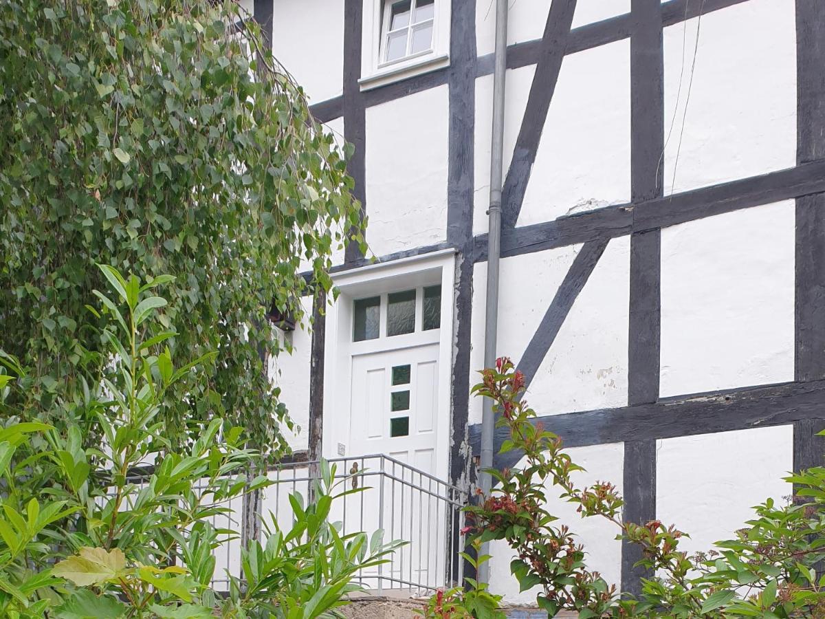 Neu Gemuetliche Ferienhaus Mit 3 Ferienwohnungen "Max " , " Leonore " Und "Beatrice" Hallenberg Esterno foto